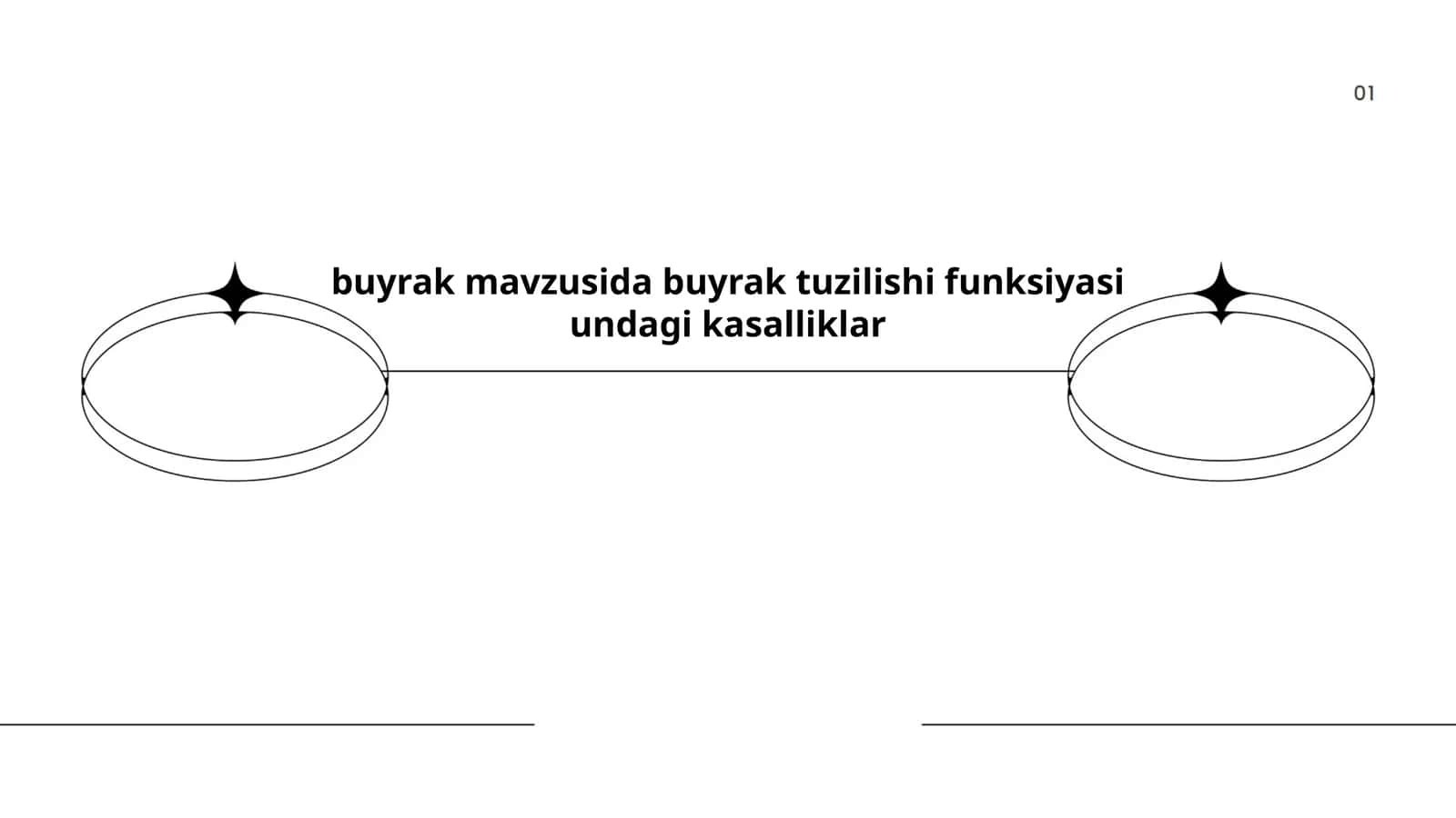 Buyrak anatomiyasi 1