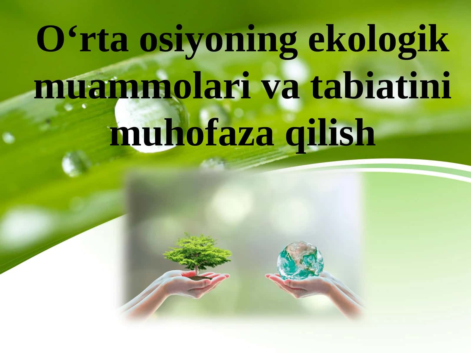 O‘rta osiyoning ekologik muammolari va tabiatini muhofaza qilish 1