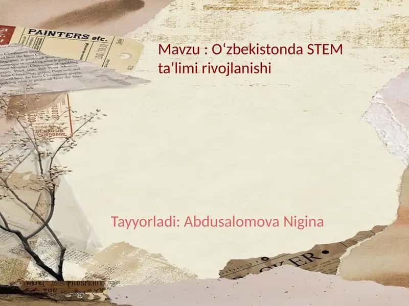 Oʻzbekistonda STEM taʼlimi rivojlanishi 1