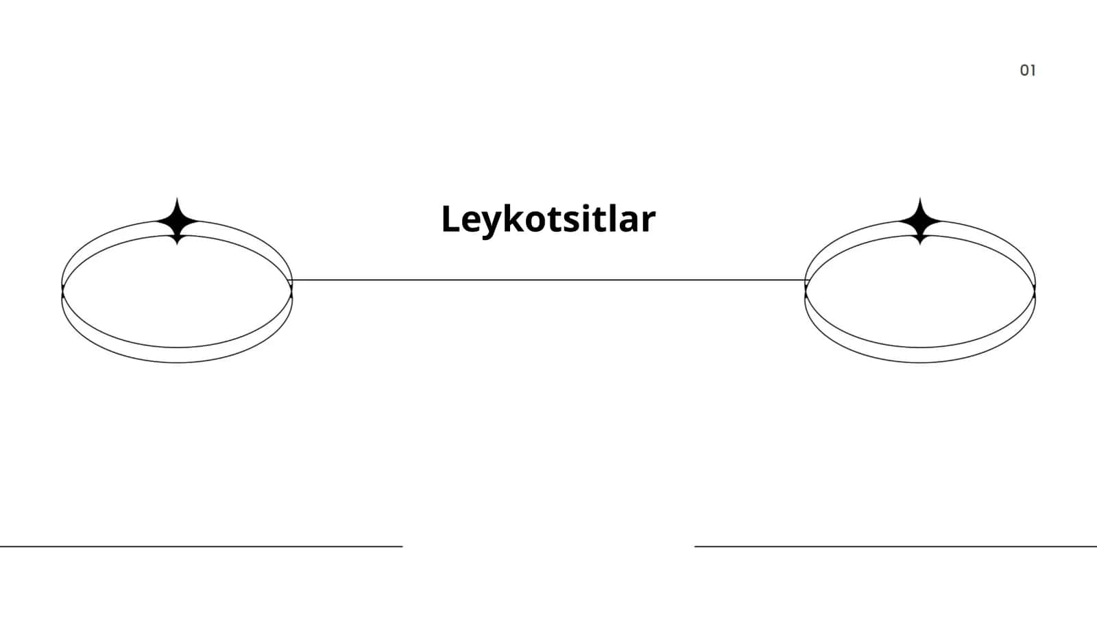 Leykotsitlar 1