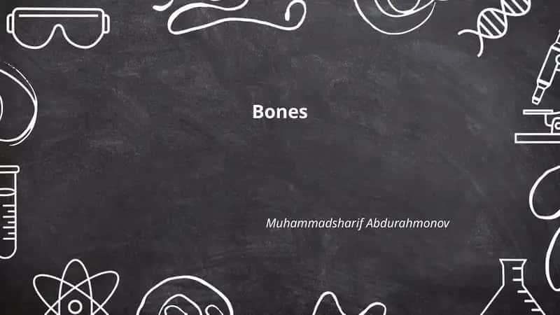 Bones 1