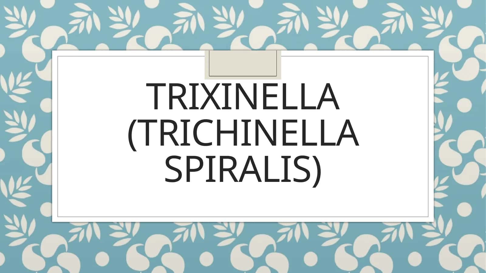 Trixinella(Trichinella spiralis) 1