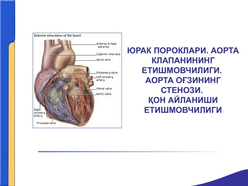 ЮРАК ПОРОКЛАРИ 1