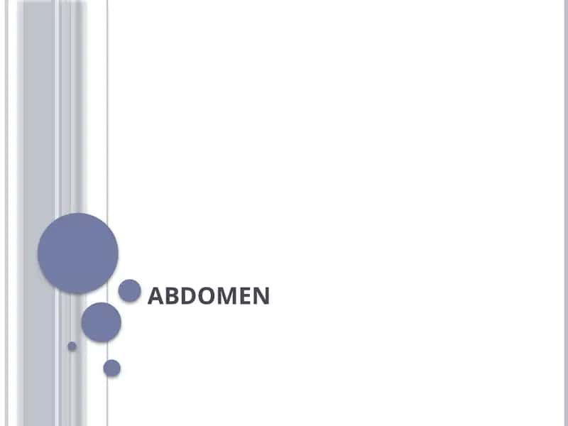 Abdomen 1