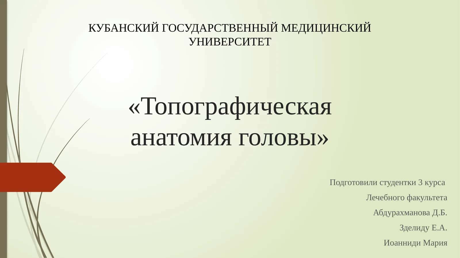 Топографическая анатомия головы 1