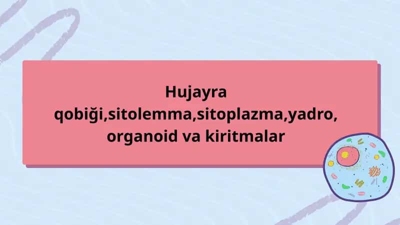 Hujayra qobiği 1