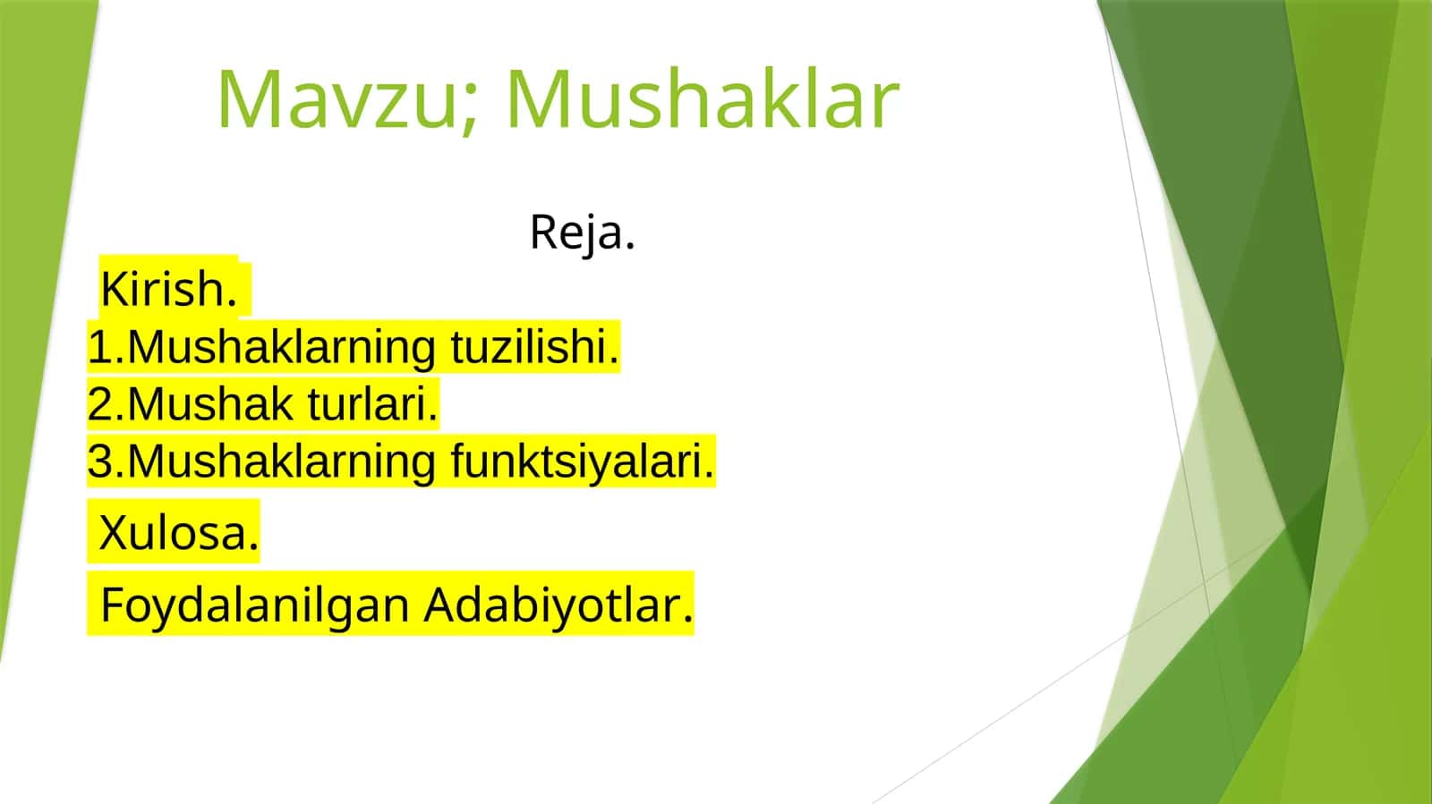 Mushaklar 1