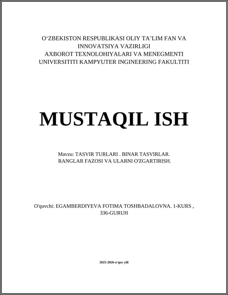 TASVIR TURLARI. BINAR TASVIRLAR. 1