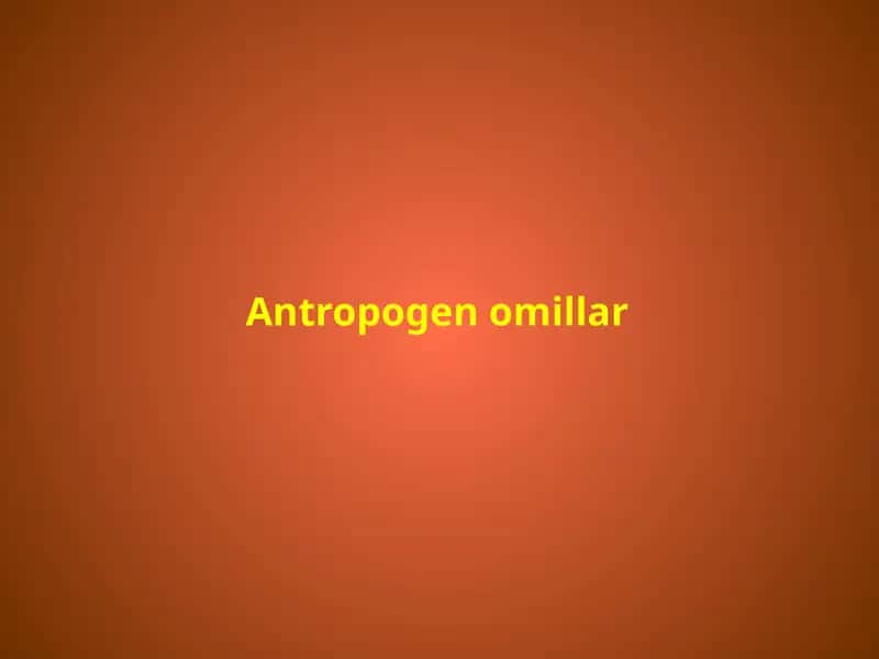 Antropogenomillar 1