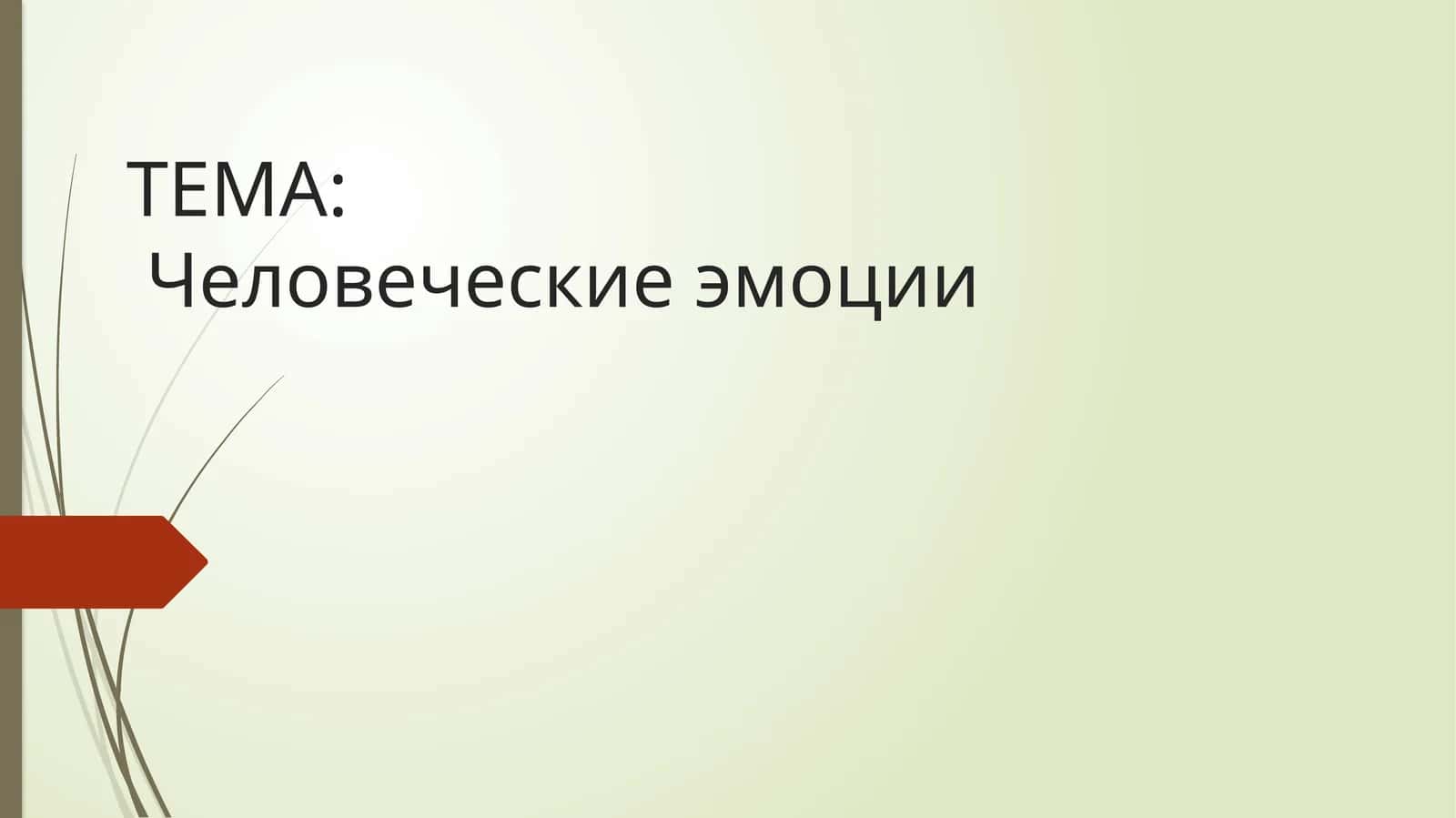 Человеческие эмоции 1