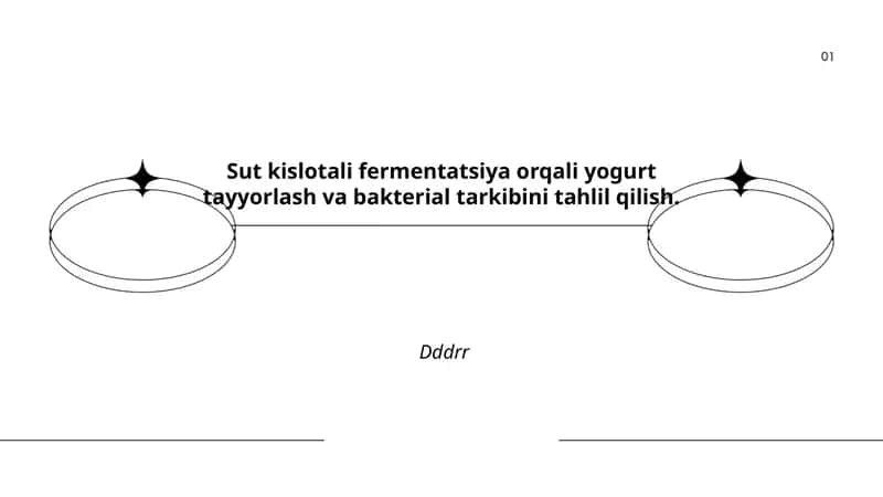 Sut Kislotali Fermentatsiya 1