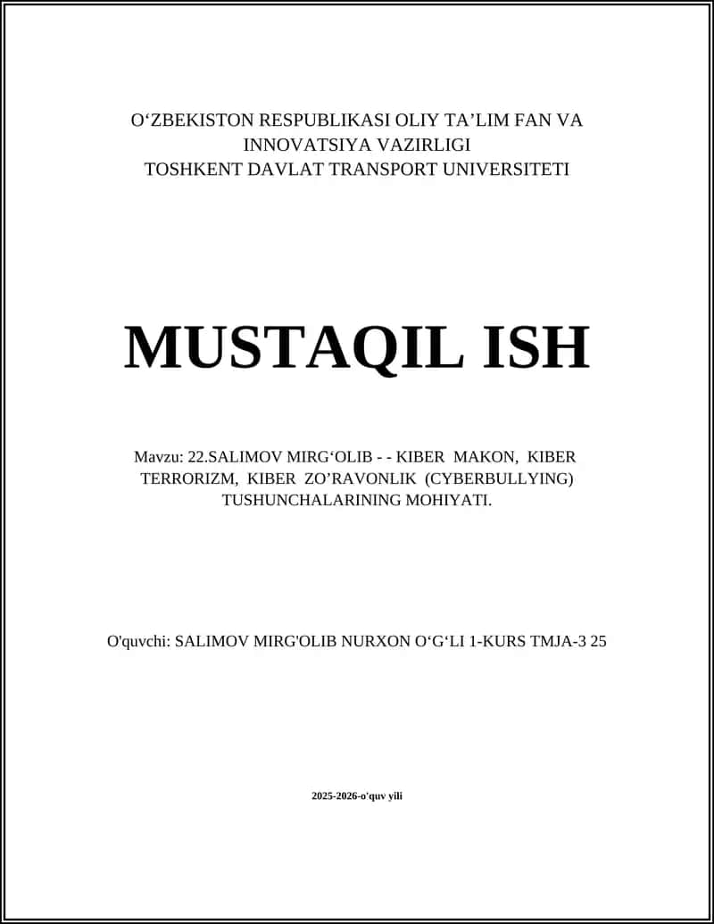 Kiber makon tushunchasi va uning mohiyati 1