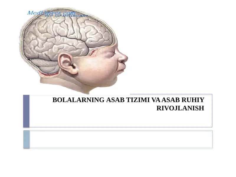 BOLALARNING ASAB TIZIMI VA ASAB RUHIY RIVOJLANISH 1