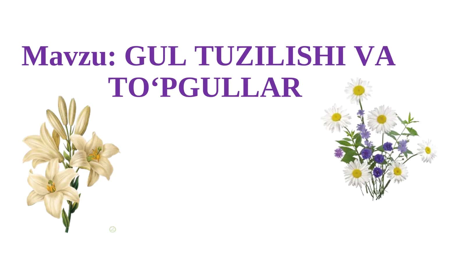 GUL TUZILISHI VA TO‘PGULLAR 1