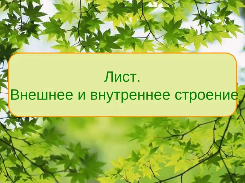 Лист 1