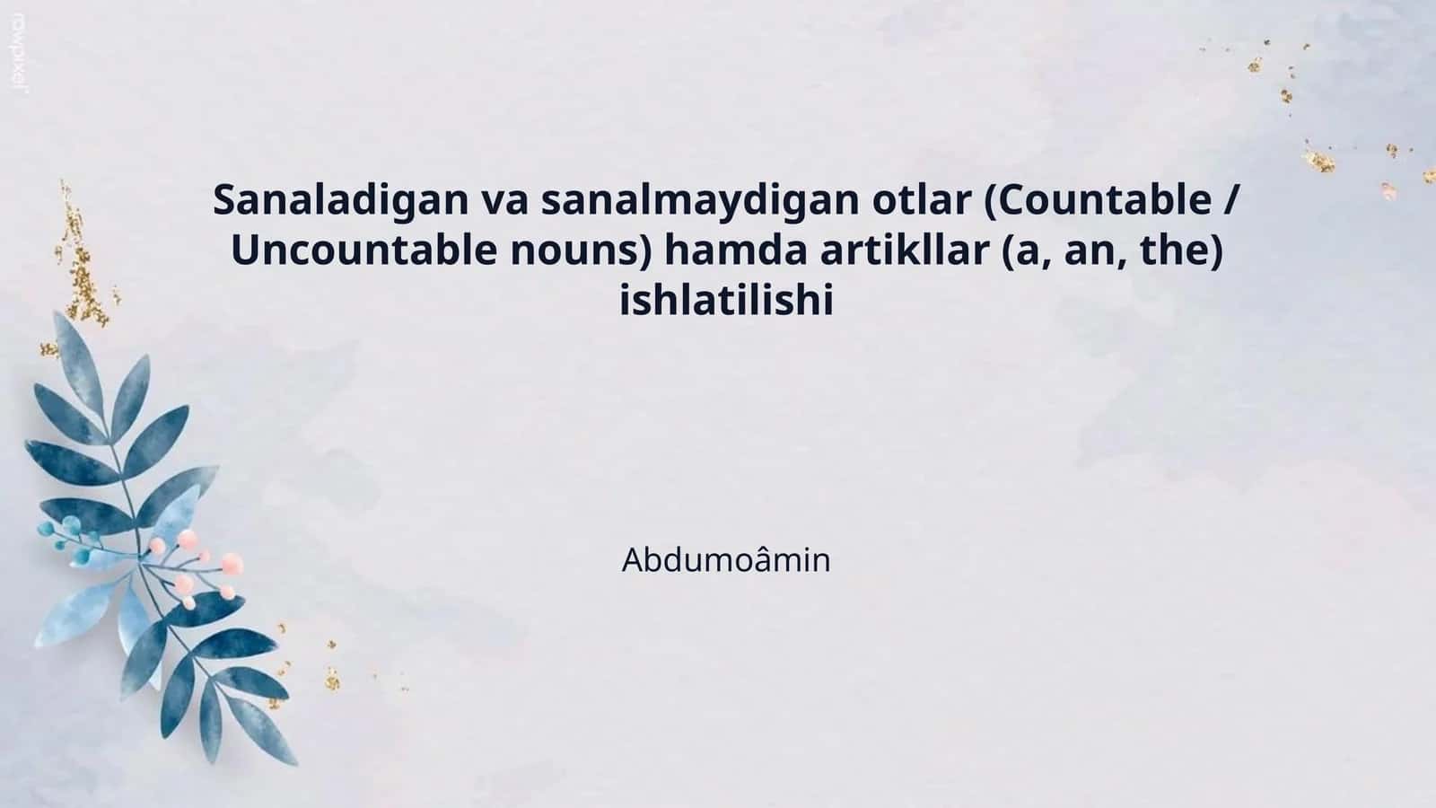 Sanaladigan va sanalmaydigan otlar (Countable / Uncountable nouns) hamda artikllar (a, an, the) ishlatilishi 1