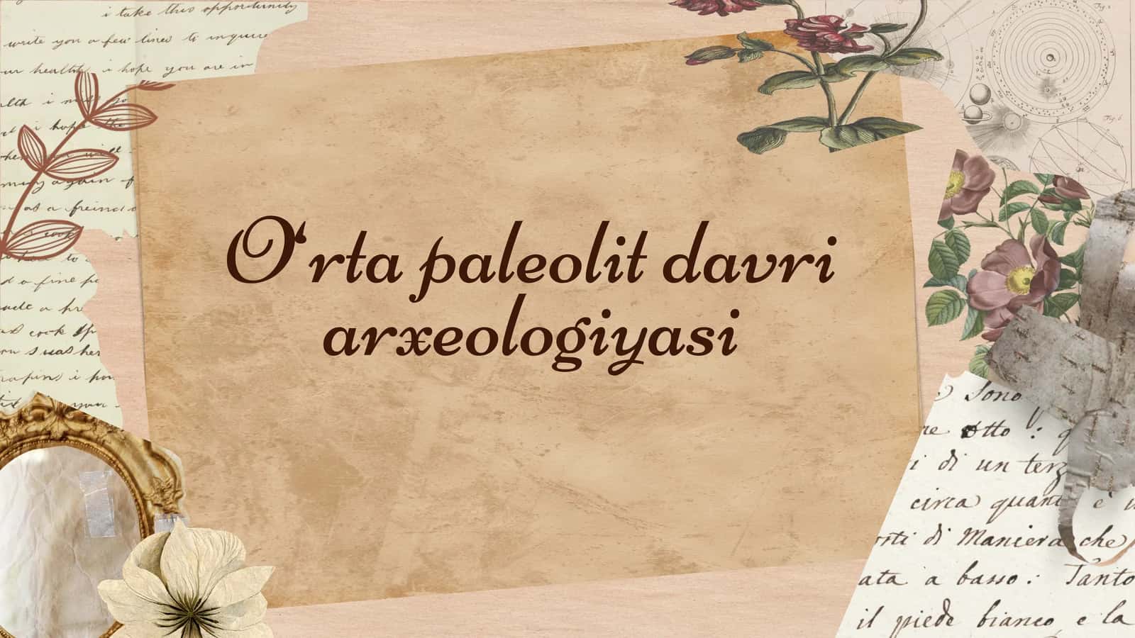 O‘rta paleolit davri arxeologiyasi 1