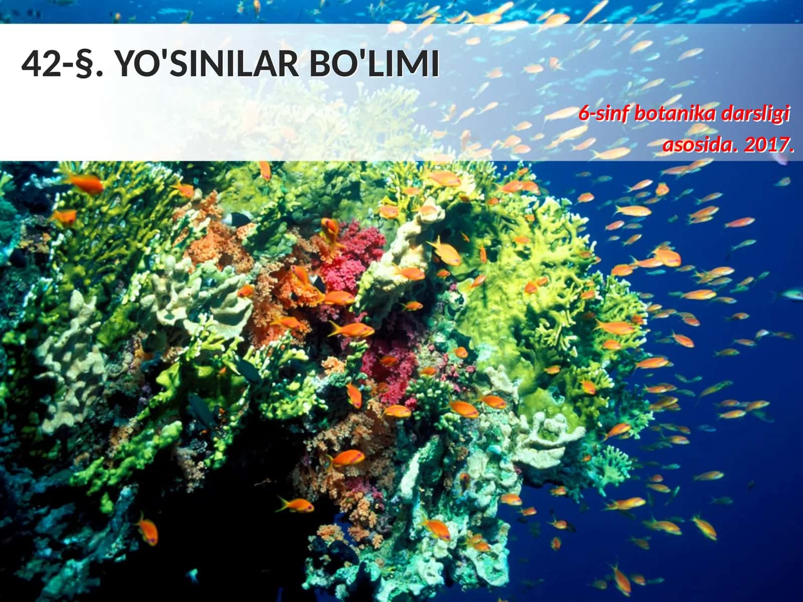 6-sinf Botanika Yo'sinilar bo'limi 1