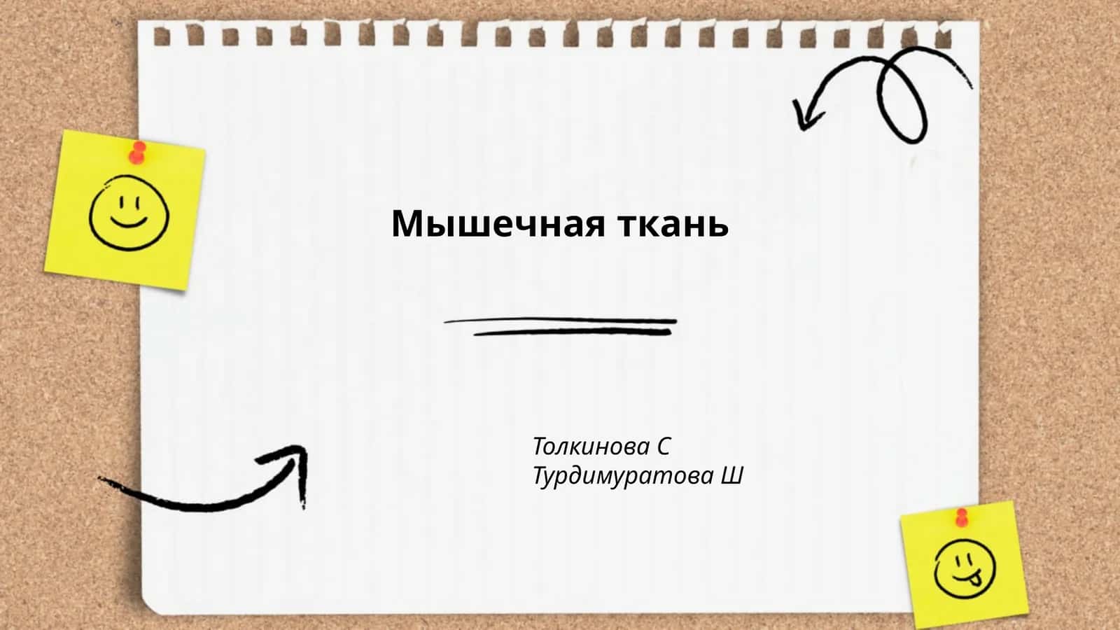 Гладкая мышечная ткань 1