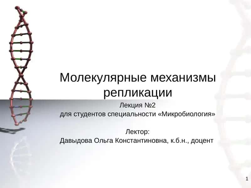 Молекулярные механизмы репликации 1