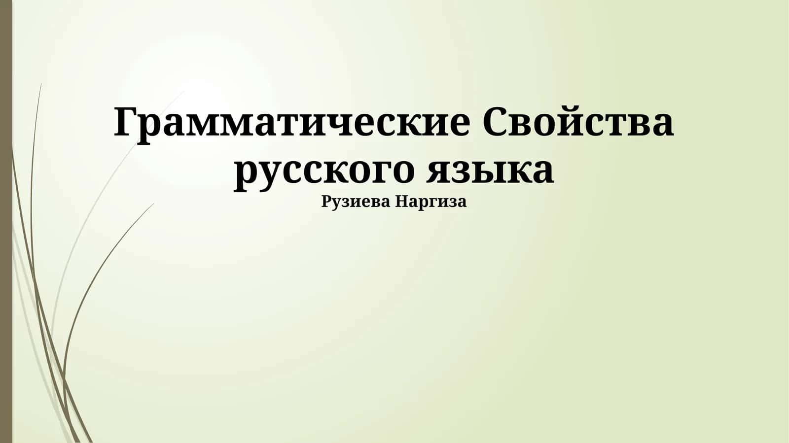 Грамматические Свойства русского языка 1