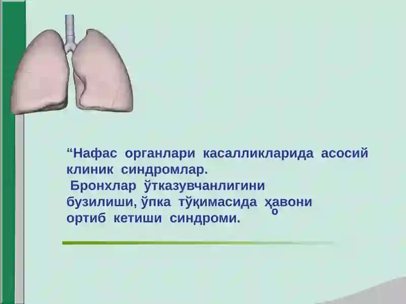 Нафас органлари касалликларида асосий клиник синдромлар