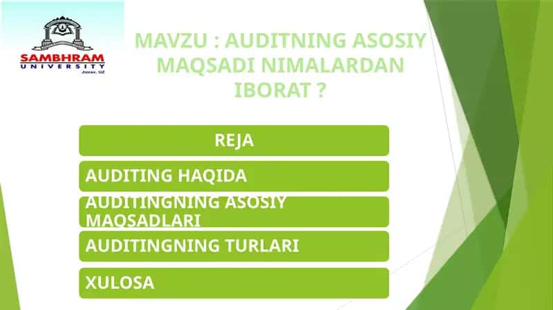 AUDITNING ASOSIY MAQSADI NIMALARDAN IBORAT? 1