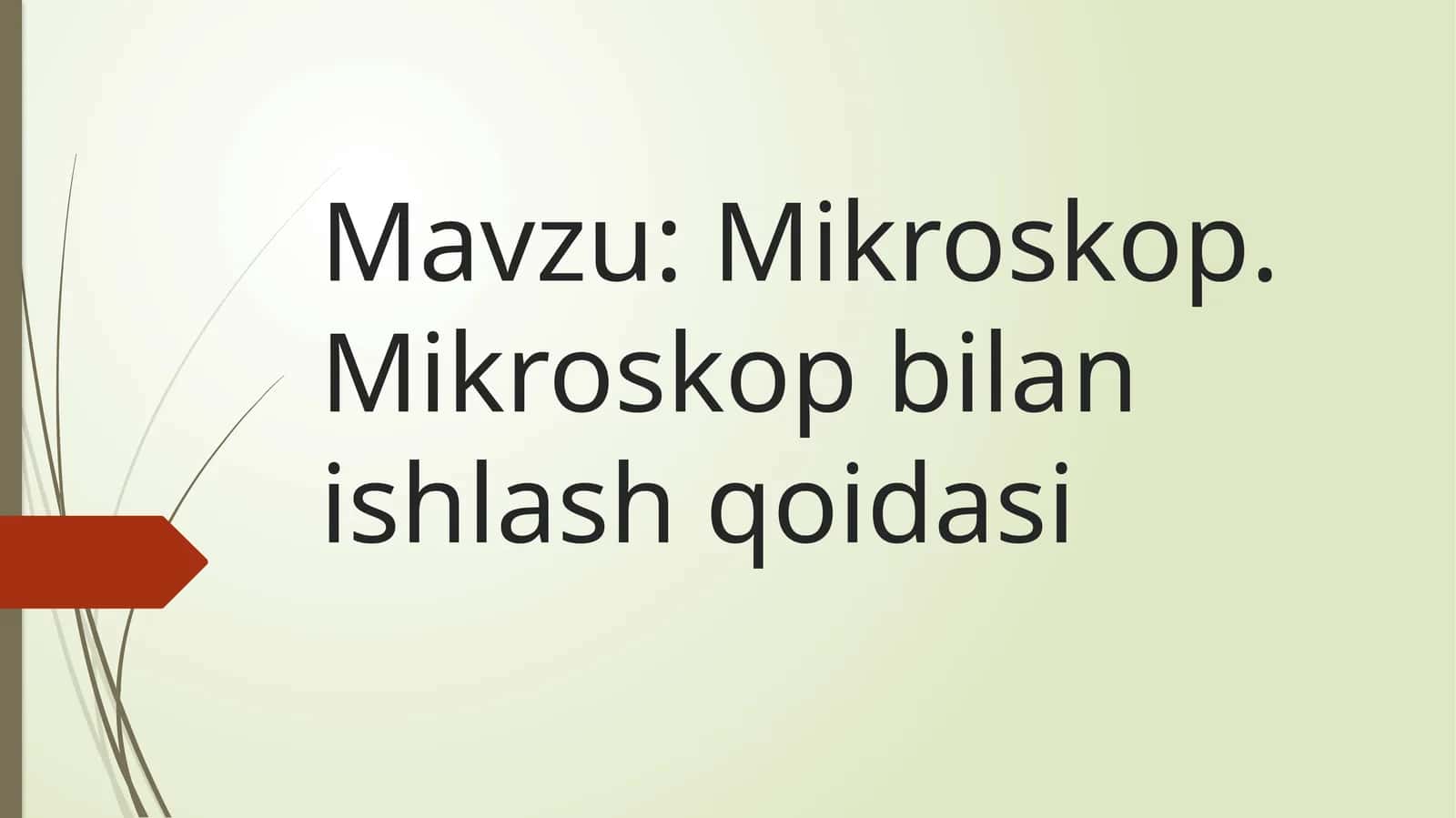 Mikroskop 1