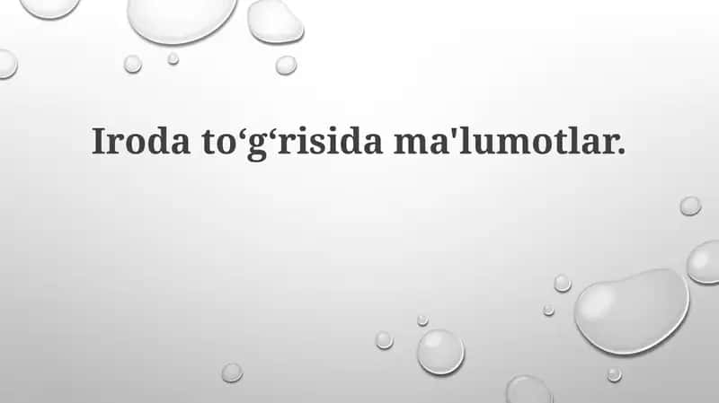 Ofis haqida umumiy ma'lumot 1