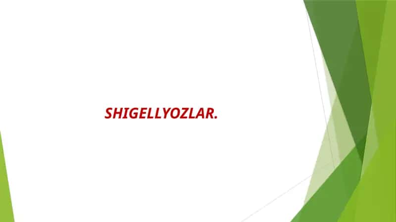 Ichburug‘ –Dizenteriya (shigellyozlar) 1