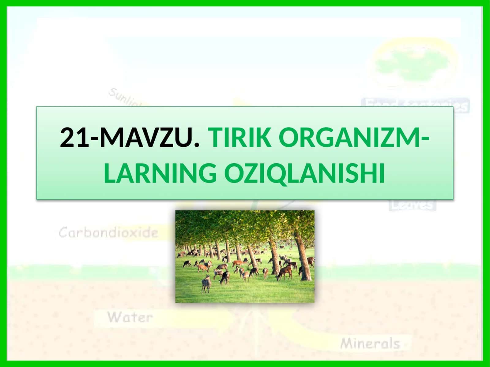 TIRIK ORGANIZM-LARNING OZIQLANISHI 1