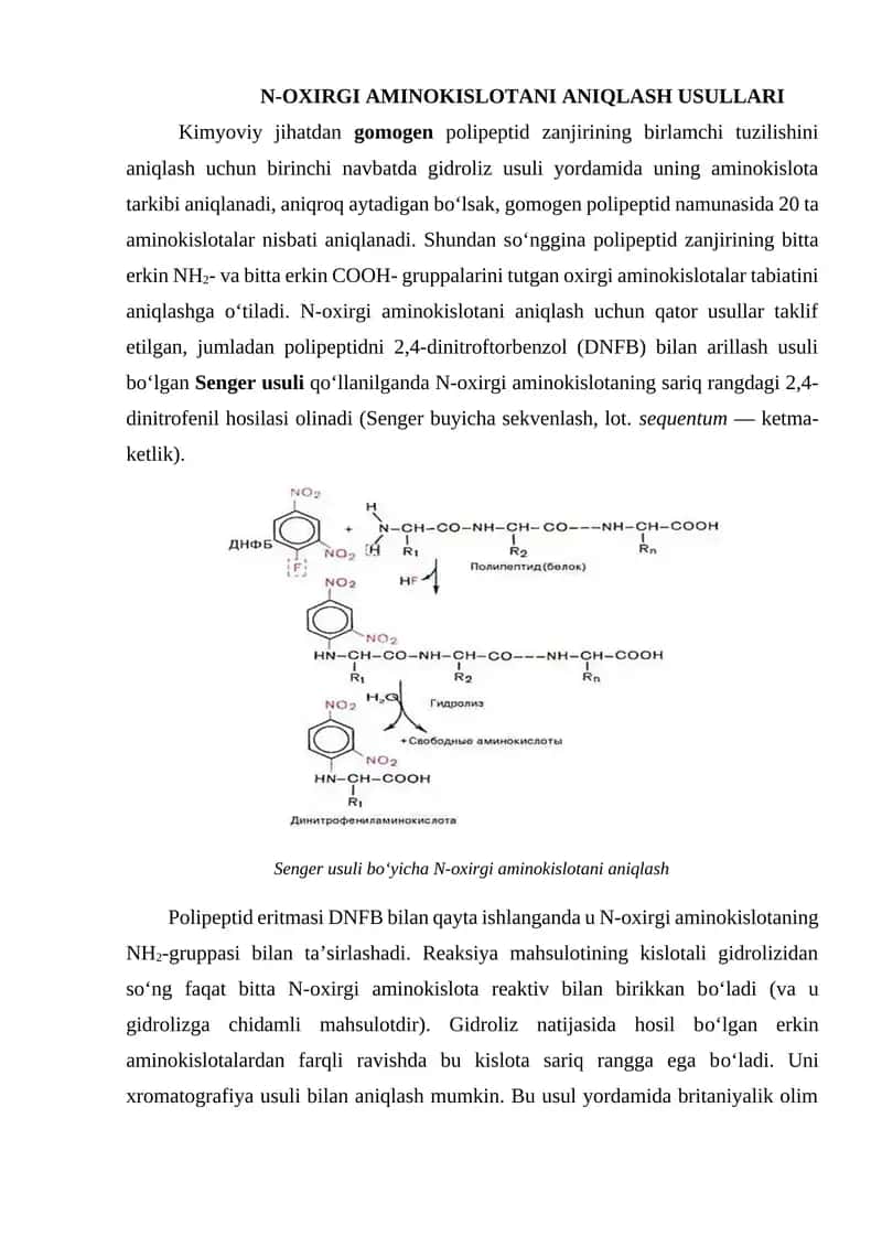 N-OXIRGI AMINOKISLOTANI ANIQLASH USULLARI 1