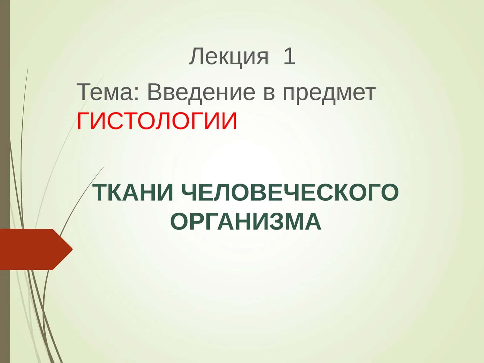 Введение в предмет ГИСТОЛОГИИ 1