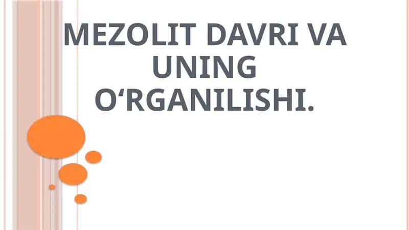 Mezolit davri va uningo‘rganilishi 1