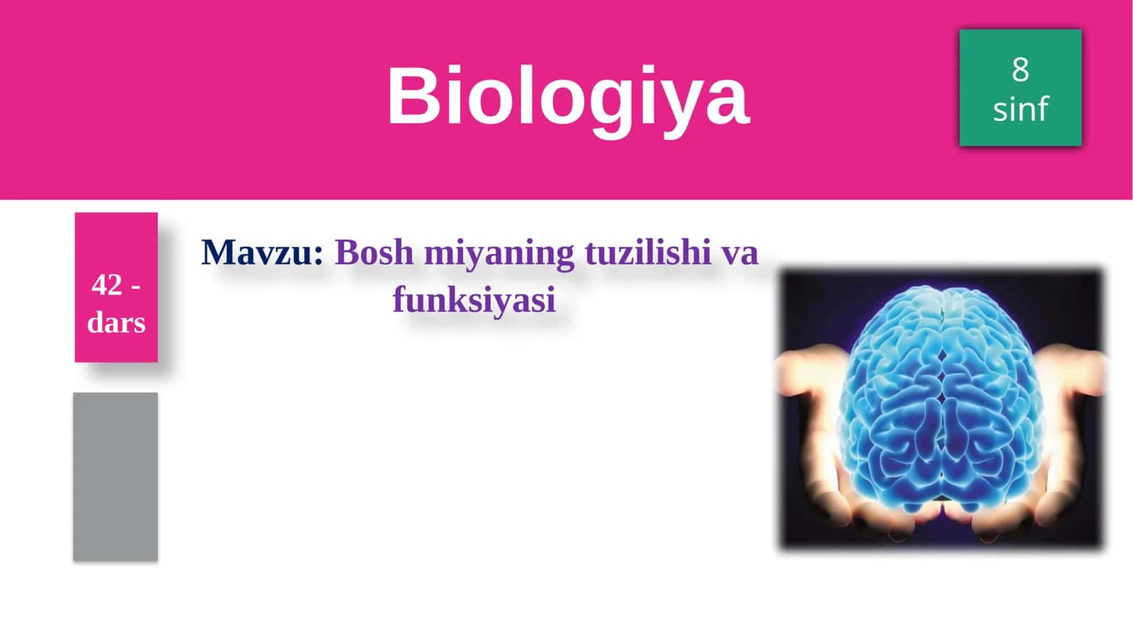 Boshmiyaning tuzilishi va funksiyasi 1