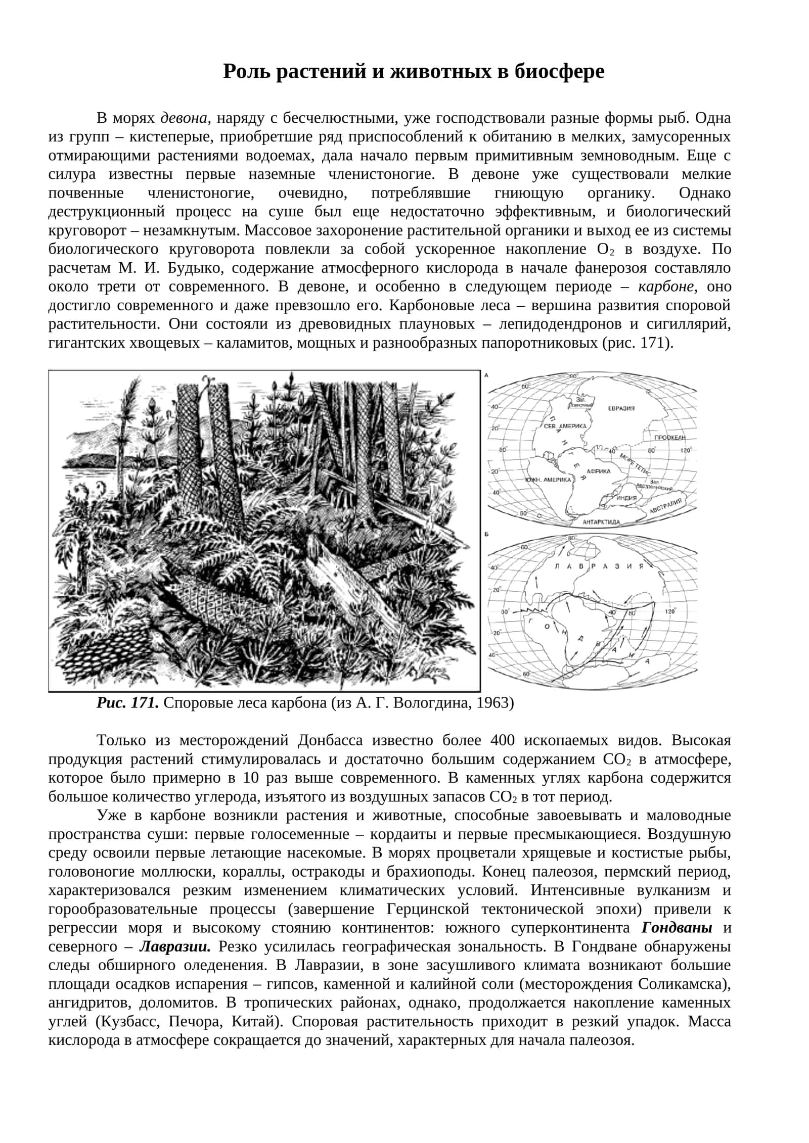 Роль растений и животных в биосфере 1