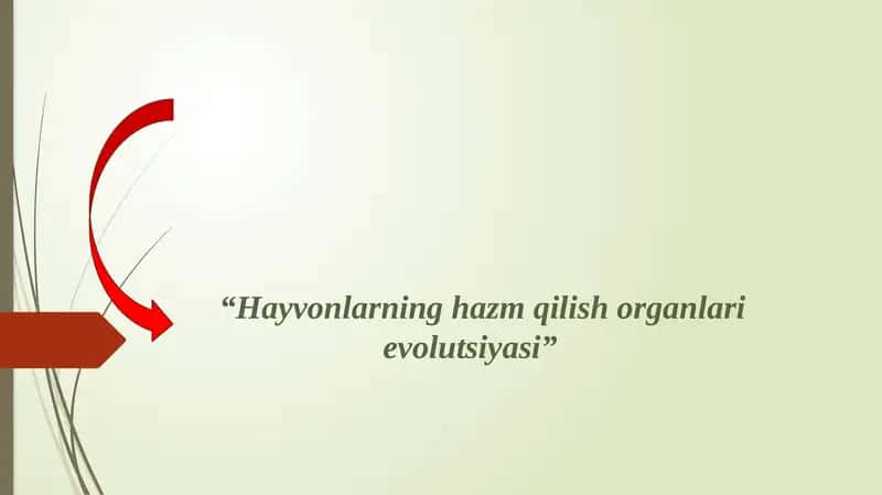 Hayvonlarning qon aylanish organlari evolutsiyasi 1