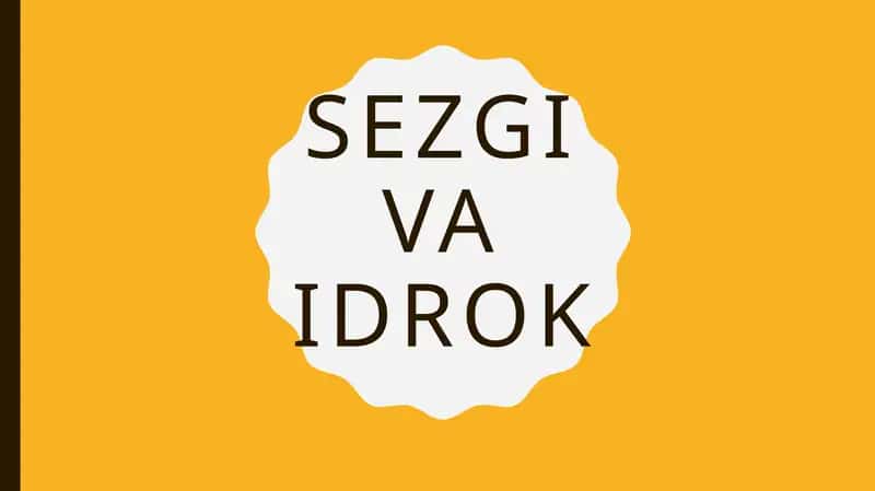 Sezgi va Idrok 1