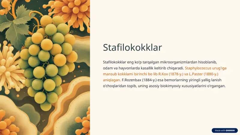 Stafilokokklar 1