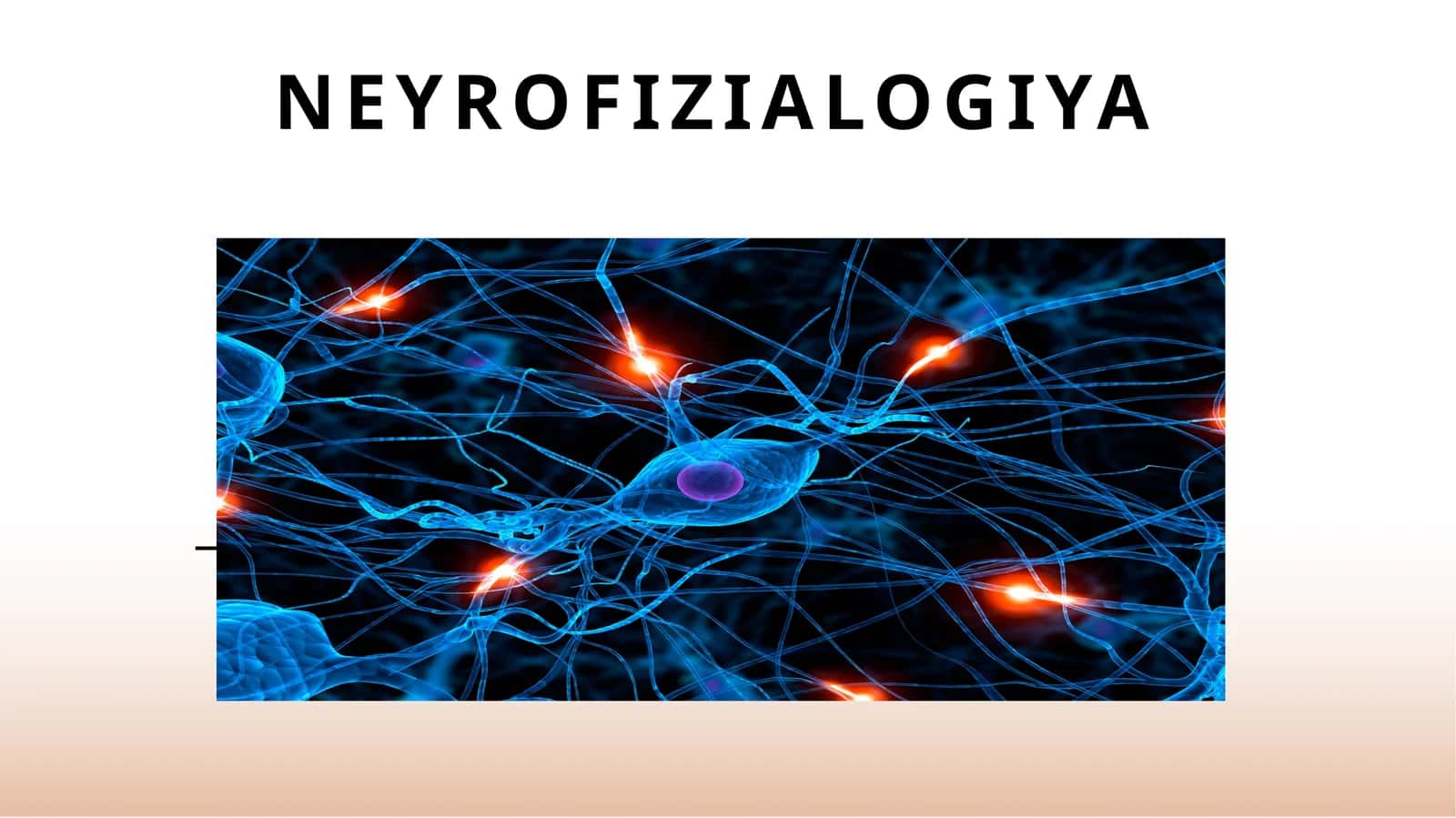Neyrofiziologiya 1