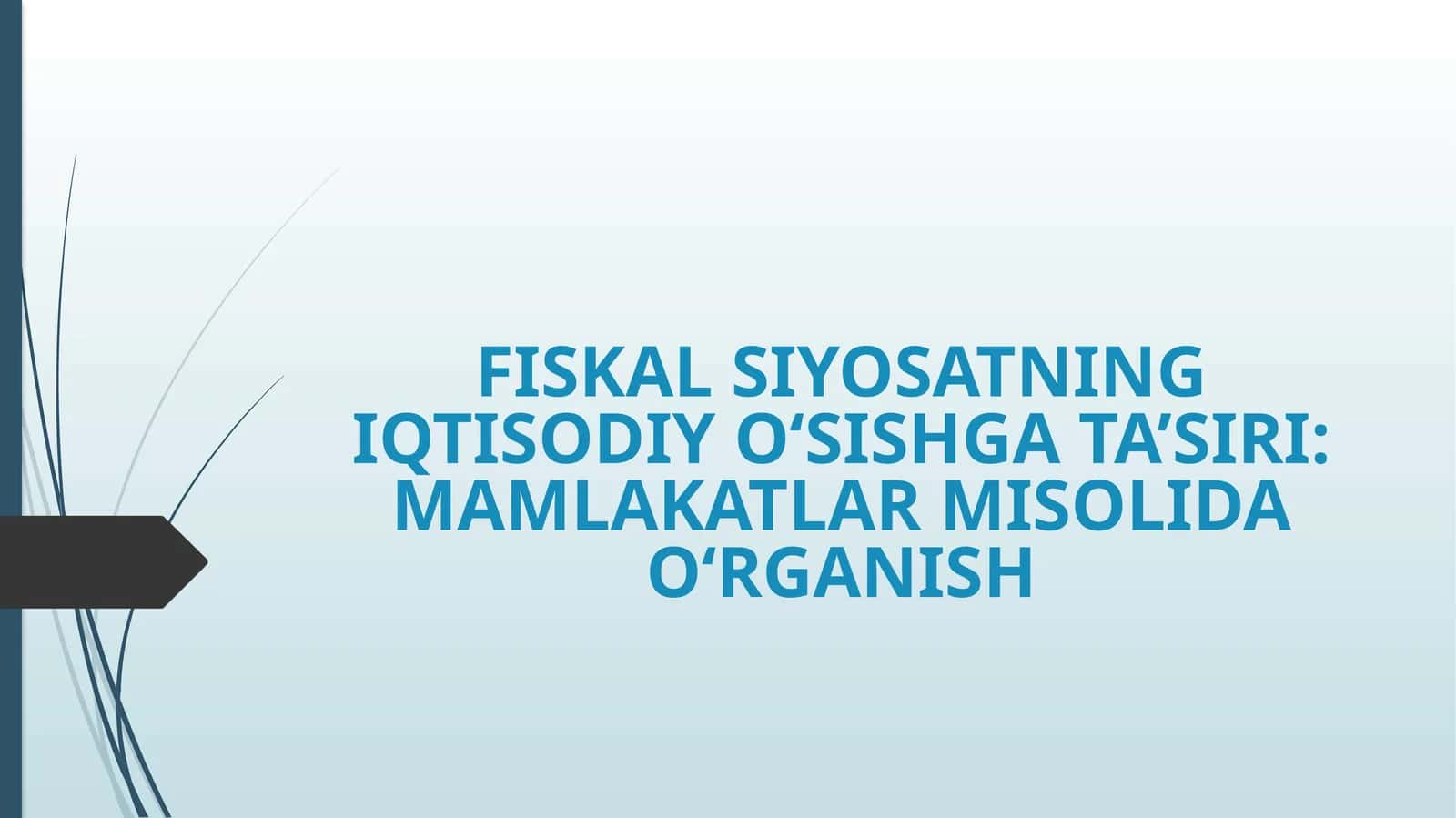FISKAL SIYOSATNING IQTISODIY O‘SISHGA TA’SIRI: MAMLAKATLAR MISOLIDA O‘RGANISH 1