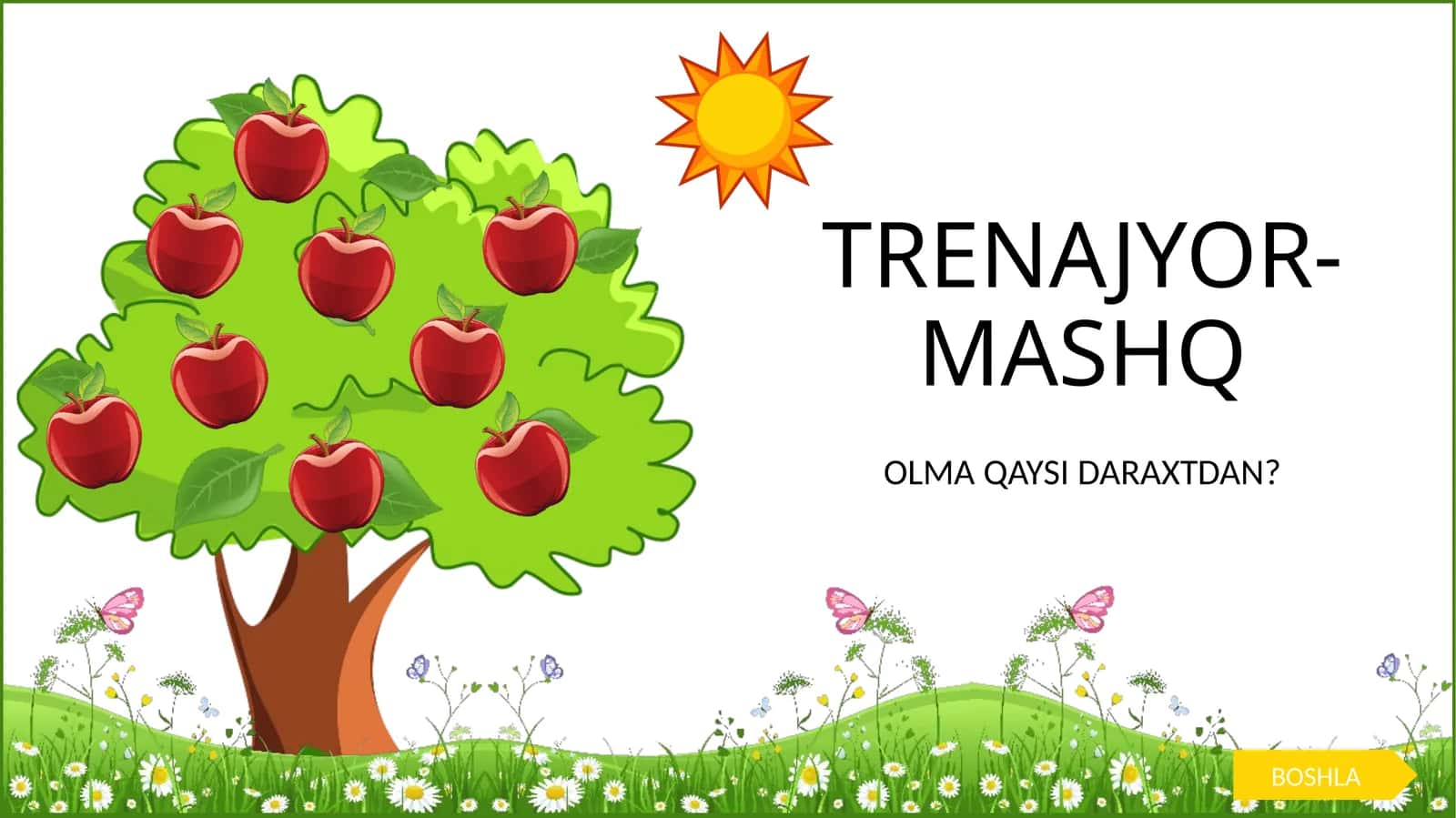 OLMA QAYSI DARAXTDAN? 1