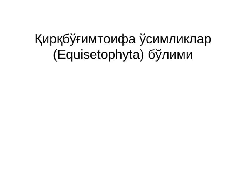 Қирқбўғимтоифа ўсимликлар (Equisetophyta) бўлими 1