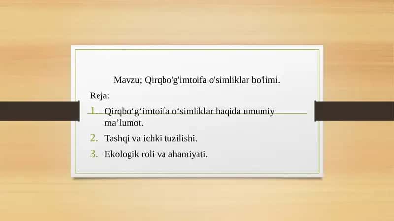 qirqbo'g'imtoifa o'simliklar bo'limi 1