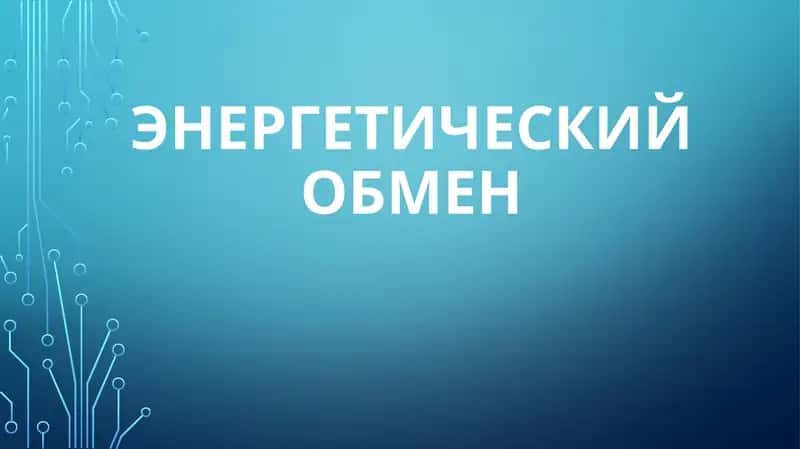 Энергетический обмен 1