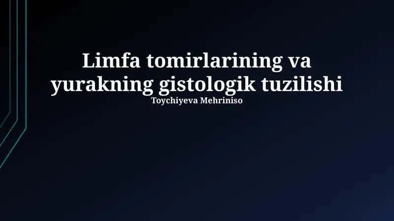 Yurakning gistologik tuzilishi 1