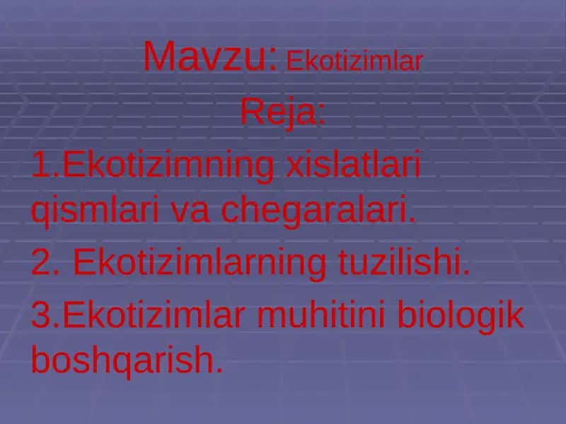 Ekotizimlar 1