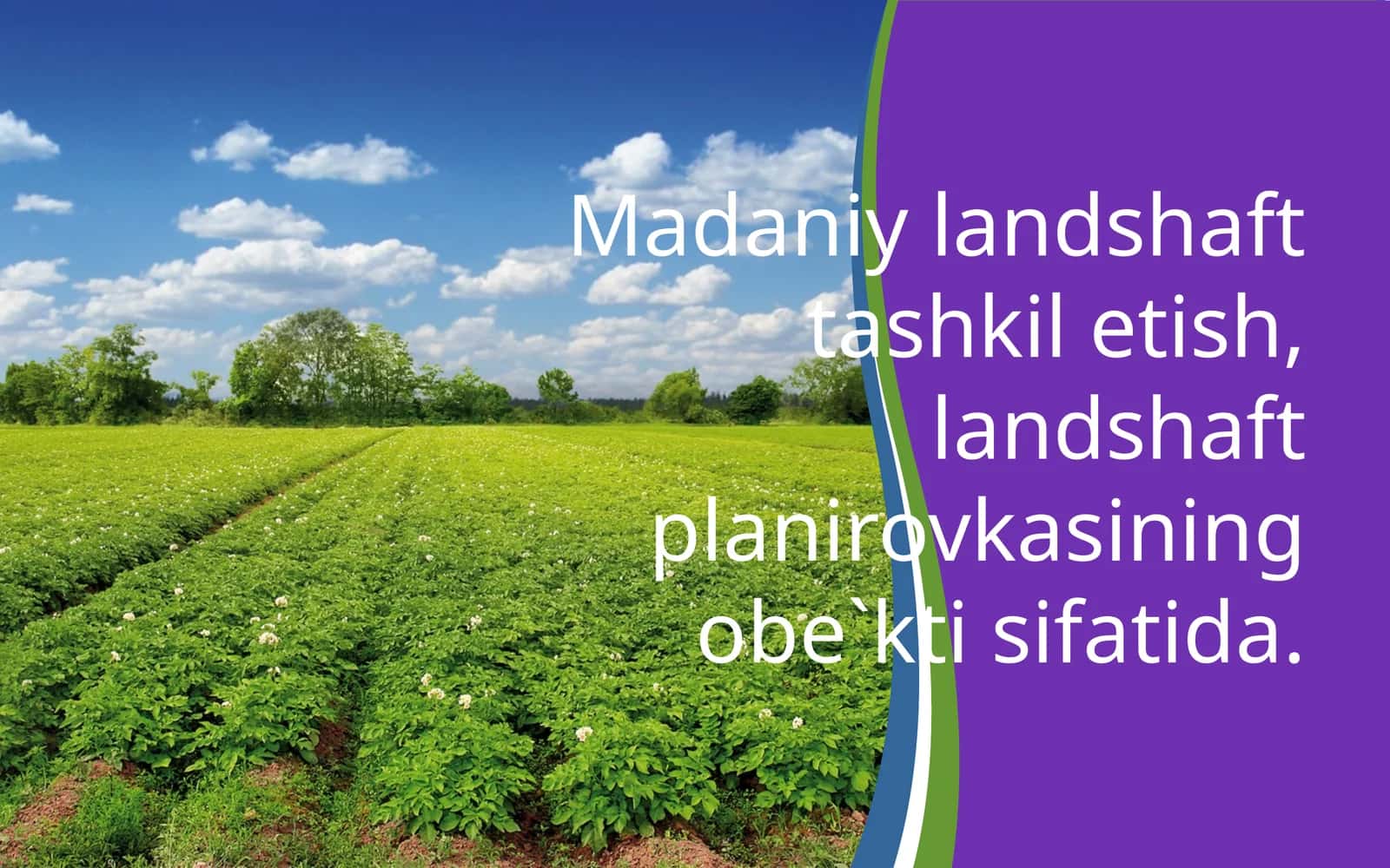 Madaniy landschaft tashkilotish, landshaft planirovka 1