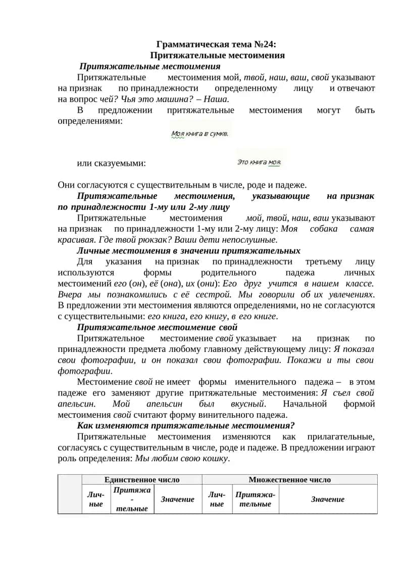 Притяжательные местоимения 1