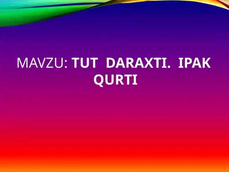 Tut daraxti